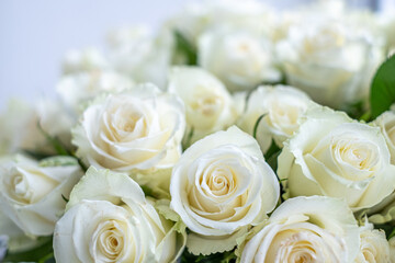 Obraz premium White roses arranged beautifully for a celebration, creating a stunning floral decoration, perfect for anniversaries and special occasions with a soft, elegant background