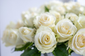 White roses arranged beautifully for a celebration, creating an elegant background for anniversaries, weddings, and special occasions with floral decoration and lush greenery
