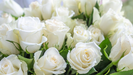 White roses arranged beautifully for a celebration, creating a stunning floral decoration for anniversaries and special occasions, enhancing the ambiance with elegance and charm