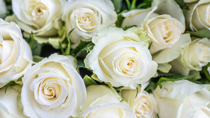 White roses arranged beautifully for a celebration, creating a romantic atmosphere perfect for anniversaries, weddings, or special occasions with elegant floral decoration