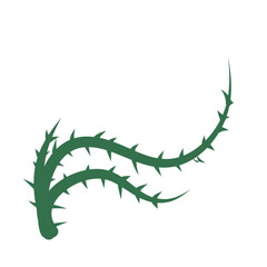 Thorn climbing plant