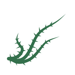 Thorn climbing plant