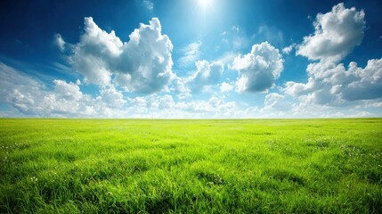 Fototapeta premium Expansive bright green meadow stretches towards a vivid blue sky filled with fluffy white clouds under intense sunlight.