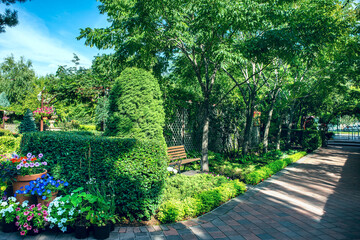 A beautiful garden landscape with a green lawn, hedge, bushes and trees.