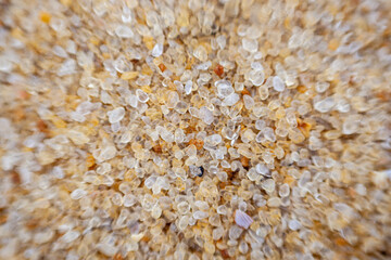 Macro detail of golden sand grains with natural texture