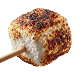 Toasting gourmet marshmallows campfire food outdoors isolated on transparent background