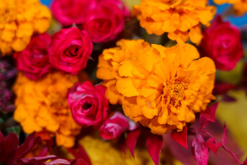 Bright flowers in vibrant colors create a cheerful display for celebration