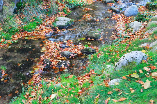 A beautiful mountain stream in autumn.