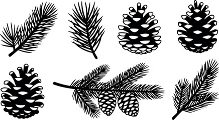 Pine cones and pine tree branches vector illustration in black and white natural style 
