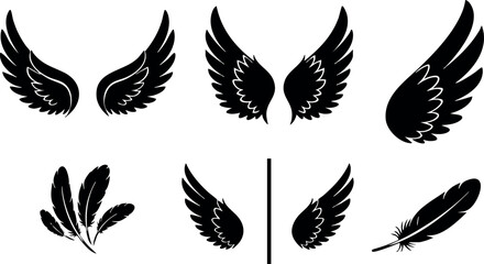 Fototapeta premium Black silhouette bird wings vector set with various feather shapes and styles 