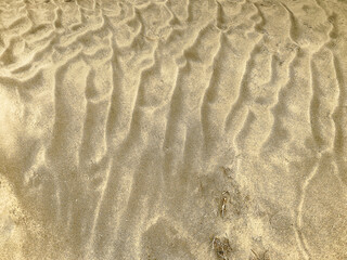 Golden sand with natural wavy patterns and subtle textures creates a peaceful background perfect for beach themes relaxation travel or design projects with a warm earthy tone