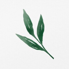 Green leaf watercolor illustration clipart