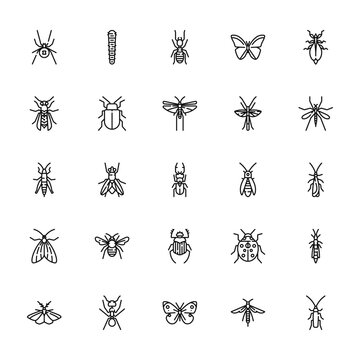 25 set of outline web insects icons such as caterpillar, wasp, grasshopper, moth, moth vector thin icons for report, presentation, diagram, web design, mobile app