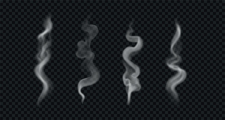 Obraz premium Wavy smoke and steam from hot food or coffee. Different vertical vapor isolated on transparent background