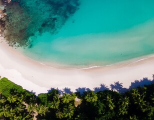 tropical beach views with clear blue sea water, clean white sand, and rows of lush green coconut trees on the beach.