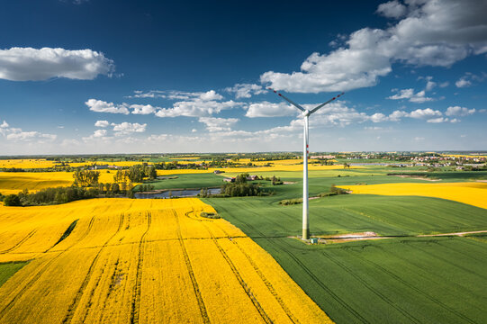 Amazing blooming raps flowers and wind turbine in countryside.