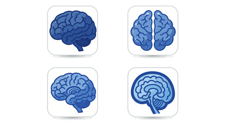 Set of four blue brain icons in different views, representing medical science, neurology, and cognitive functions in a clean, vector graphic style.