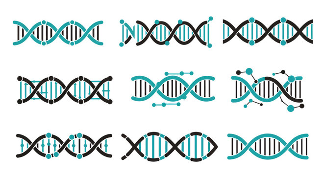 Collection of stylized DNA helix icons representing genetic research, biotechnology, and medical science in a clean vector graphic format.
