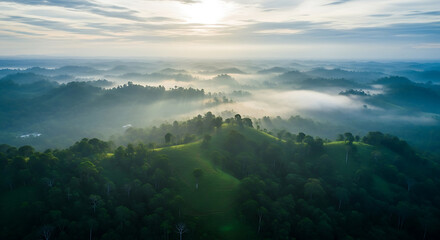 Morning sunlight illuminates rolling hills covered in lush green tropical rainforest with low lying mist and clouds.