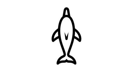 Outline dolphin illustration on transparent background for design and print