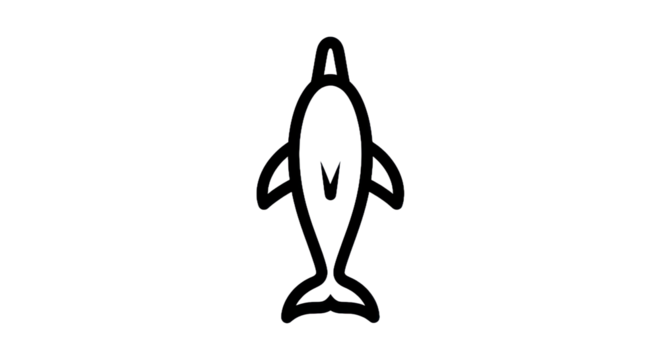 Outline dolphin illustration on transparent background for design and print