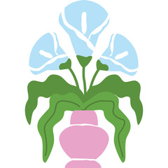 Delicate Light Blue Calla Lilies with Green Stems and Leaves in a Pink Vase on a Transparent Background