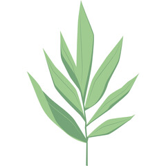 Delicate Light Green Leaf Branch Isolated on White Background Minimalist Botanical Element for Design and Decoration Natural Theme