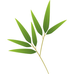 Delicate Bamboo Branch With Long Green Leaves Isolated On White Background With Natural Lighting And Subtle Gradients