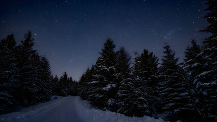Winter Wonderland Trail: A serene snow-covered trail winds its way through a forest of evergreens under a starlit night sky, creating a scene of tranquil beauty and natural wonder.