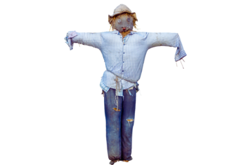 Whimsical scarecrow with outstretched arms, dressed in worn denim and a light blue shirt, standing guard.