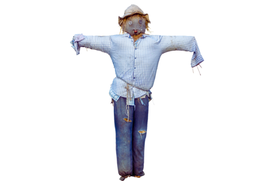 Whimsical scarecrow with outstretched arms, dressed in worn denim and a light blue shirt, standing guard.