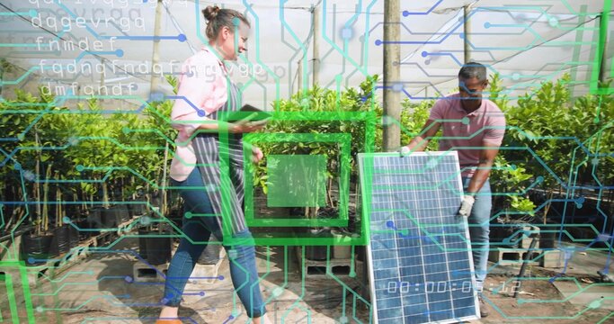 Walking woman in striped-apron holding tablet, gloved man lifting solar panel in nursery, overlays