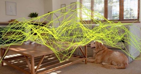 Lying golden dog lifting head in living room with coffee table, sideboard, neon overlay, copy space