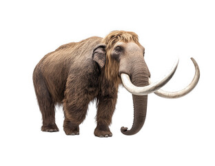Obraz premium Woolly mammoth isolated on transparent background, showcasing its thick fur, long curved tusks, and robust build, representing prehistoric wildlife and extinct species