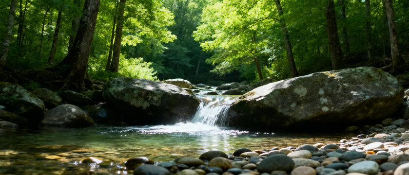 A serene forest stream flows over rocks and pebbles surrounded by lush green trees.