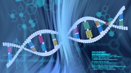 DNA-helix entering from left, stretching, waving to center, showing colored bases, code overlays - Powered by Adobe