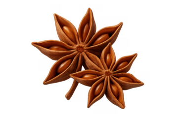 Star anise pods, a common spice, adding aromatic flavor to cooking, baking, and traditional beverages