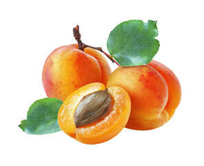 Fresh apricots, whole and halved, with leaves
