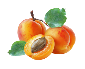 Fresh apricots, whole and halved, with leaves