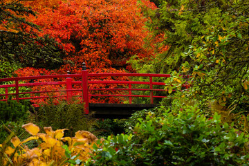 Lush, vibrant foliage surrounds Heart Bridge at Kubota Garden in Seattle in autumn
