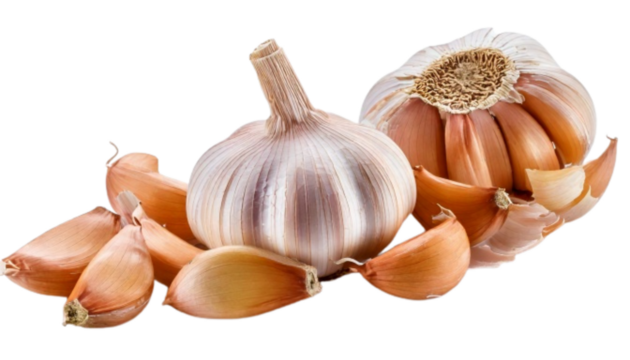 Whole Garlic Bulb with Cloves Scattered in Artistic Diagonal Composition, Isolated on Transparent Background