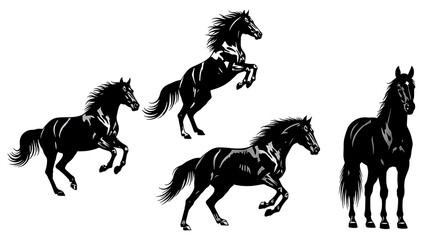 Four black horse silhouettes in dynamic poses isolated on white background