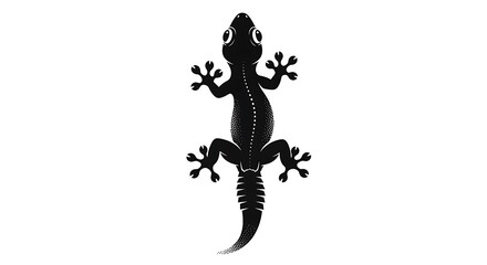 Detailed silhouette of a gecko with visible skeletal structure isolated on white background