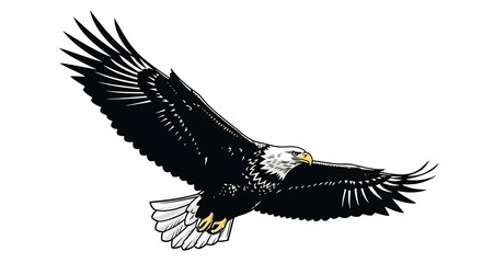 Obraz premium Majestic bald eagle in flight with wings spread wide isolated on white background