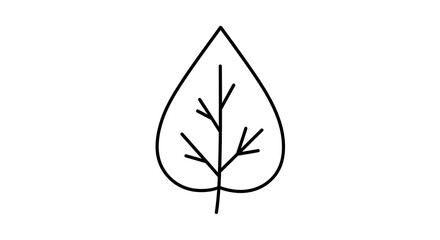 Simple outline drawing of a single leaf with veins isolated on white background
