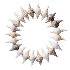 Obraz premium Shell circle
