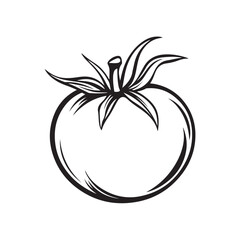 Vector illustration of tomato fruit sketch with simple and minimalist line style.