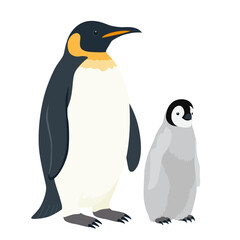 コウテイペンギンの親子