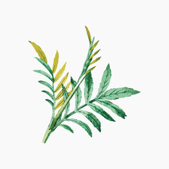 Leaf vintage illustration collage element vector