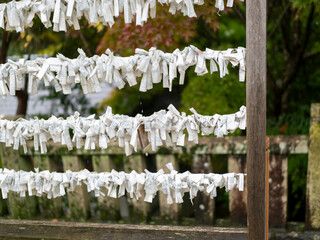 雨に濡れた神社のお神籤